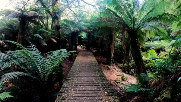 sightseeingnainalpark - Southern Rail Trail - Victoria the great southernrail trail marathon blog the great southernrail trail marathon blog light house blog